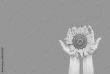 preview bw