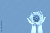 preview cold