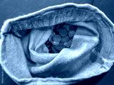 preview cold