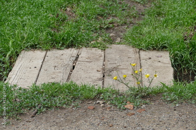 image to crop