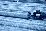preview cold