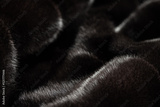 preview original