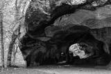 preview bw