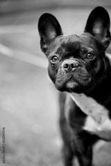 preview bw