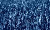 preview cold