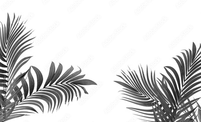 image to crop
