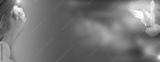 preview bw