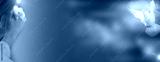preview cold