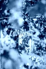 preview cold