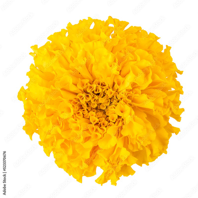 image to crop