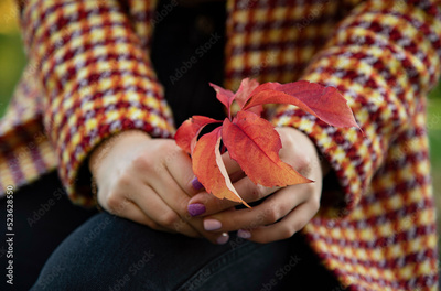 image to crop
