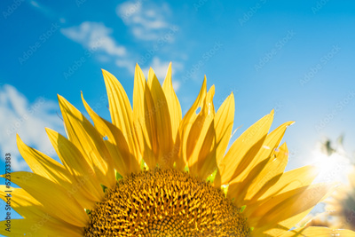 image to crop