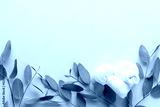 preview cold