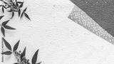 preview bw