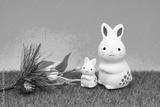 preview bw
