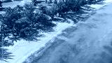 preview cold