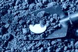 preview cold