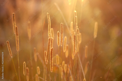 image to crop