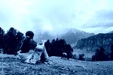 preview cold