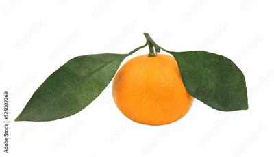 image to crop