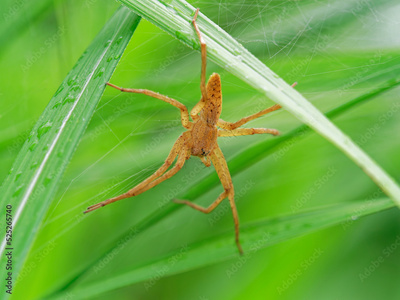 image to crop