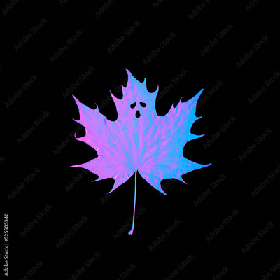 image to crop
