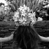 preview bw