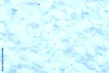 preview cold