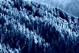 preview cold