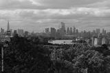 preview bw