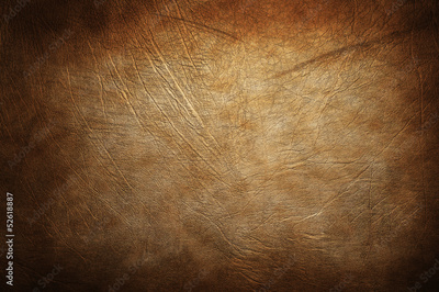 image to crop