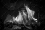 preview bw
