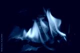 preview cold