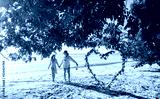preview cold