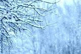 preview cold