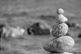 preview bw