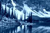 preview cold