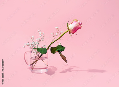 image to crop