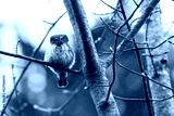 preview cold