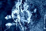 preview cold