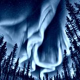 preview cold