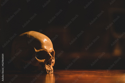 image to crop