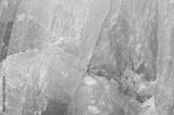 preview bw