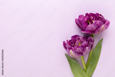 image to crop