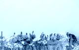 preview cold