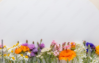image to crop