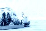 preview cold