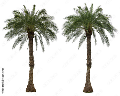 image to crop