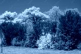preview cold
