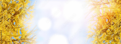image to crop